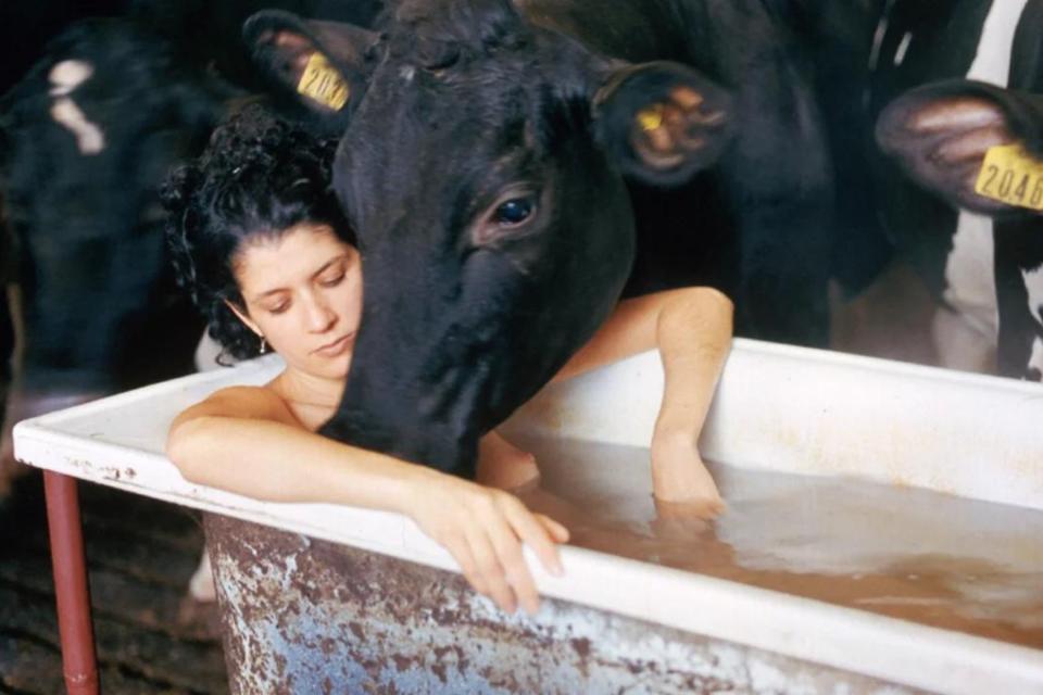 Woman in the bath with a cow looking at her