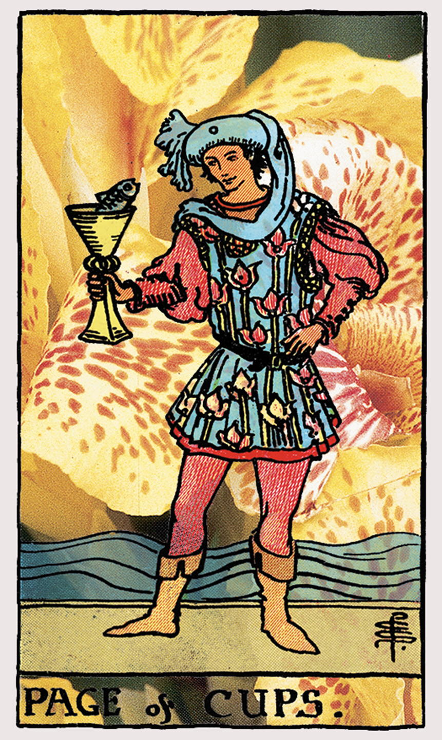 page of cups tarot card