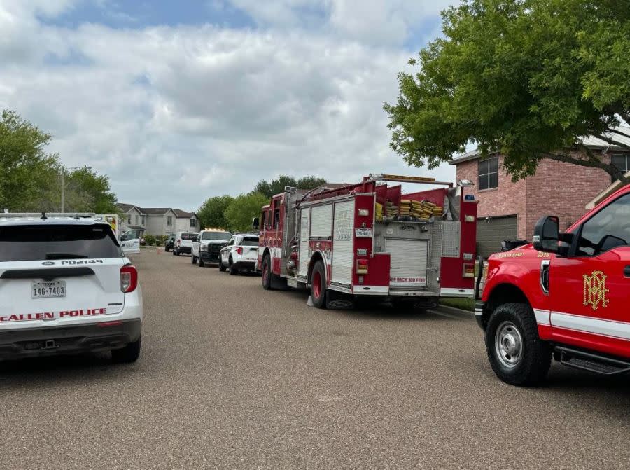 An animal cruelty investigation is underway after authorities received a call involving multiple dogs. (Photo by: Rolando Avila/ValleyCentral)