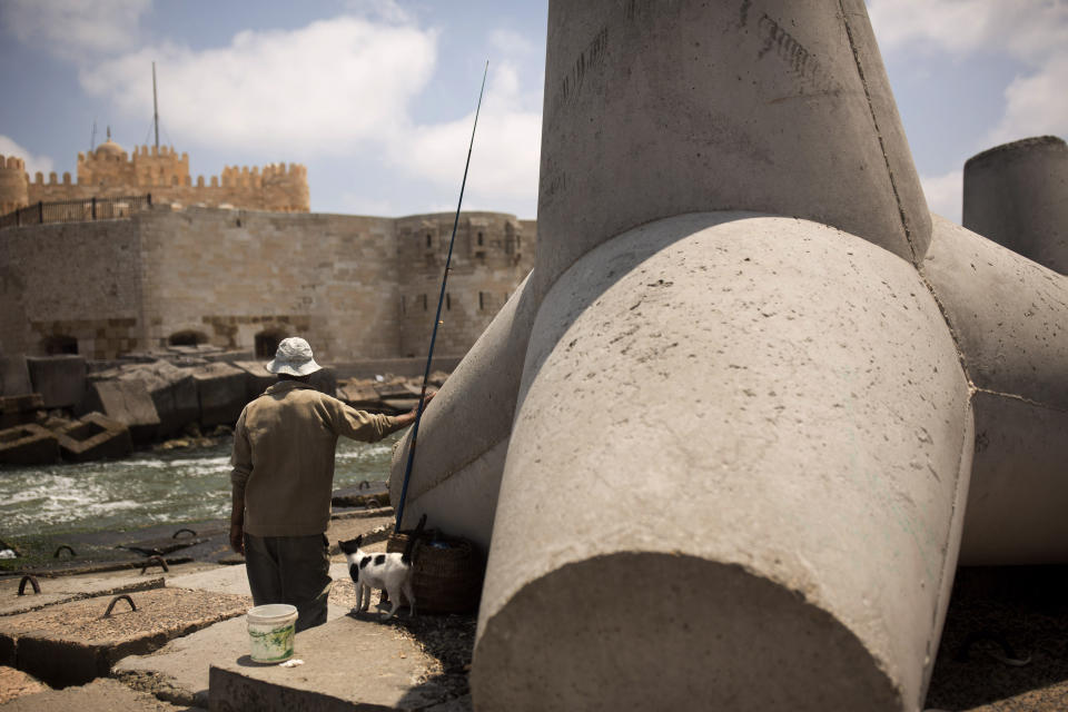 In this Aug. 8, 2019 photo, a fisherman and his cat stand beside a cement barrier placed as reinforcement against rising water levels near the citadel in Alexandria, Egypt. Alexandria, which has survived invasions, fires and earthquakes since it was founded by Alexander the Great more than 2,000 years ago, now faces a new menace from climate change. Rising sea levels threaten to inundate poorer neighborhoods and archaeological sites, prompting authorities to erect concrete barriers out at sea to hold back the surging waves. (AP Photo/Maya Alleruzzo)