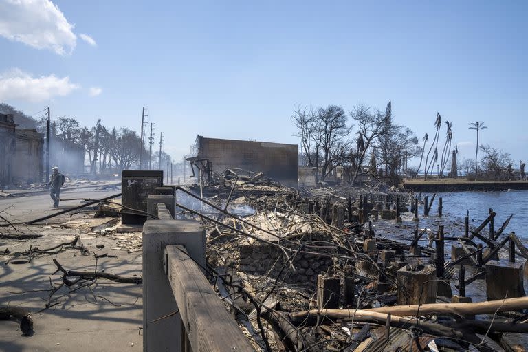 Los expertos dicen que es probable que los incendios transformen el paisaje de formas no deseadas