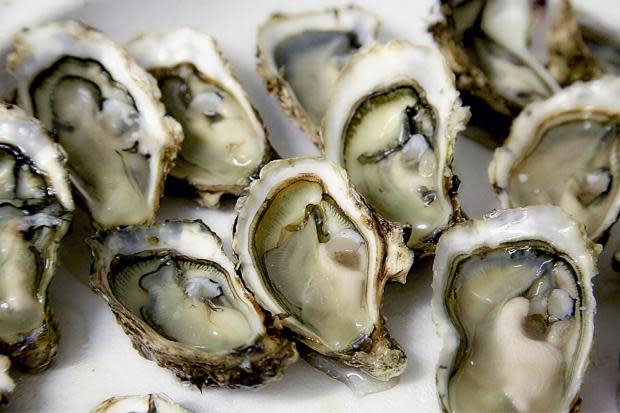 The Argus: Oyster have been farmed from Chichester Harbour for hundreds of years