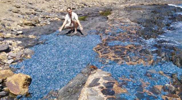 Mr Wallensky (pictured) snapped this site on a New South Wales south coast beach. Source: Supplied