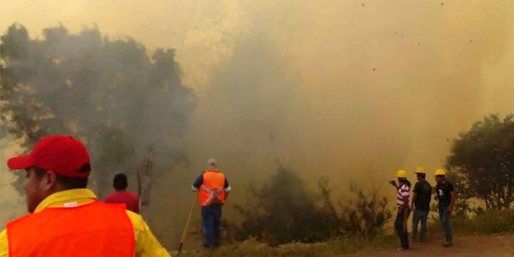 Tras cuatro días controlan incendio forestal en Tochimiltzingo, Puebla