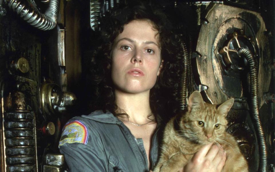 Die amerikanische Schauspielerin Sigourney Weaver war 30 Jahre alt beim Dreh des ersten "Alien"-Films. Hier ein Set-Foto mit Katze (der "Bordkatze" im Film) am Set von Ridley Scotts Filmklassiker von 1979. (Bild: Sunset Boulevard/Corbis / Getty Images)