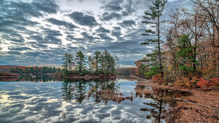 lake scene