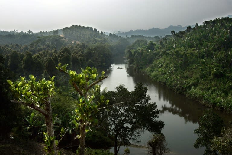 The Biosphere reserve of Mananara Nord in Madagascar