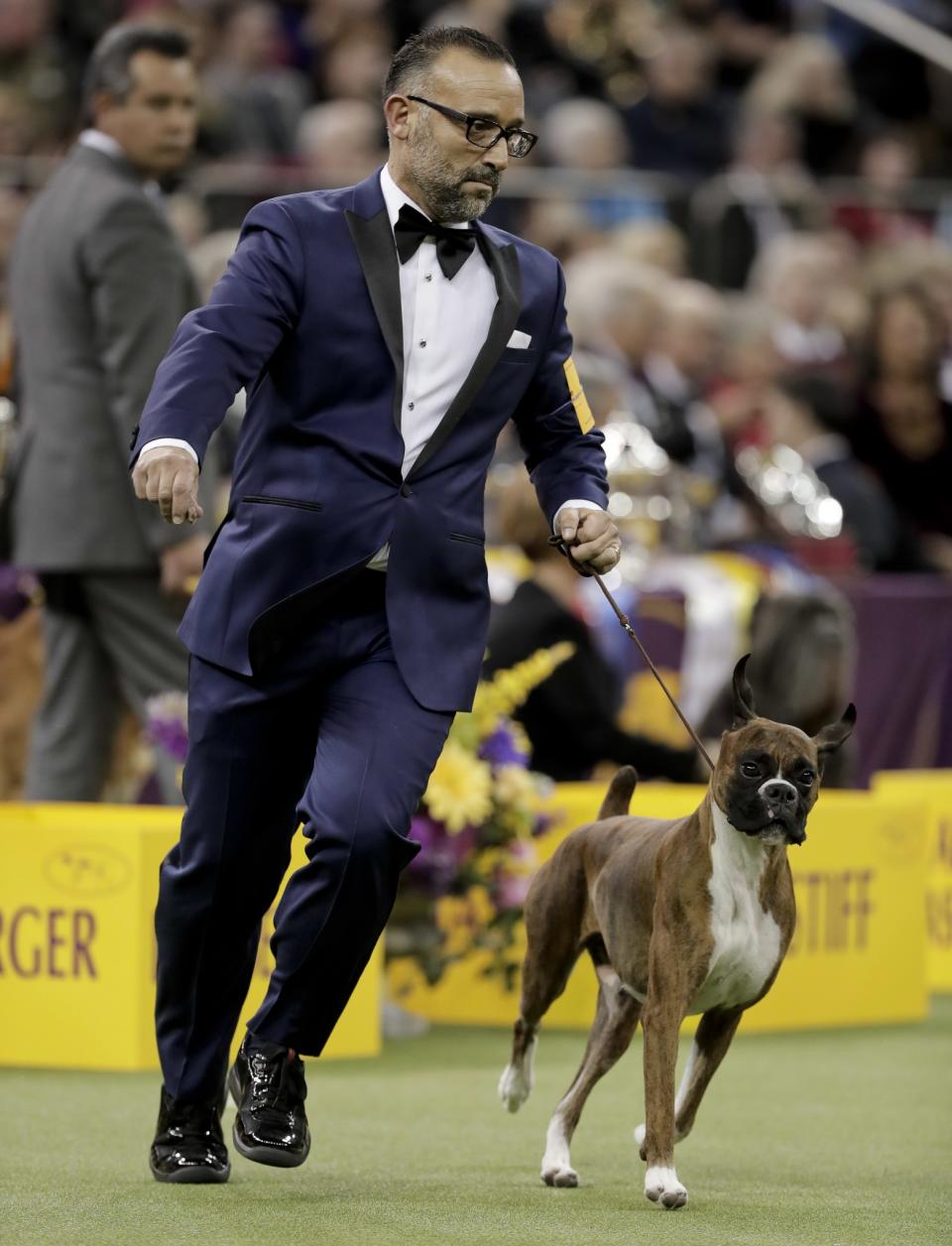 141st Westminster Kennel Club Dog Show