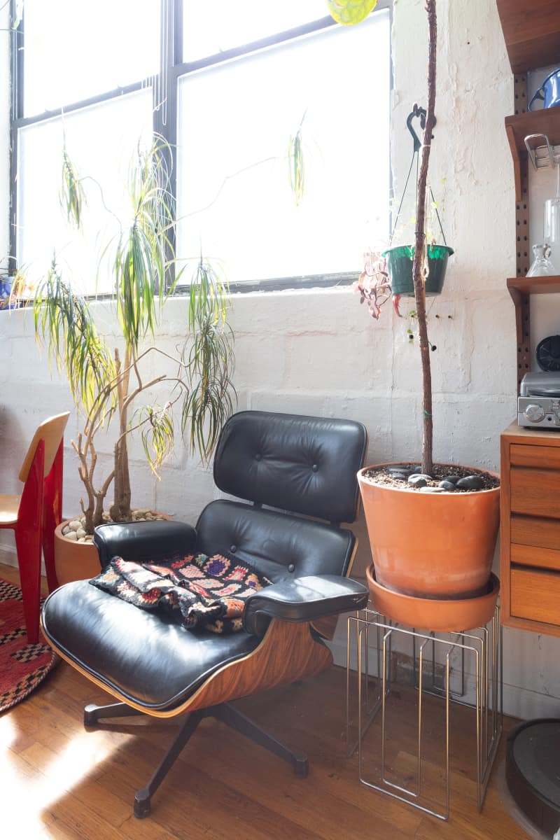 Eames chair in plant filled living room.