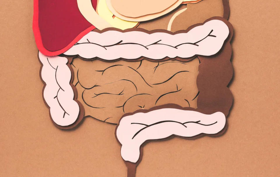 Apêndice fica onde o intestino grosso e o intestino delgado se encontram (Imagem: LightFieldStudios/envato)