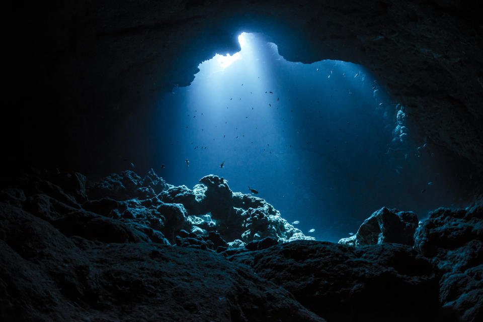 An underwater scene