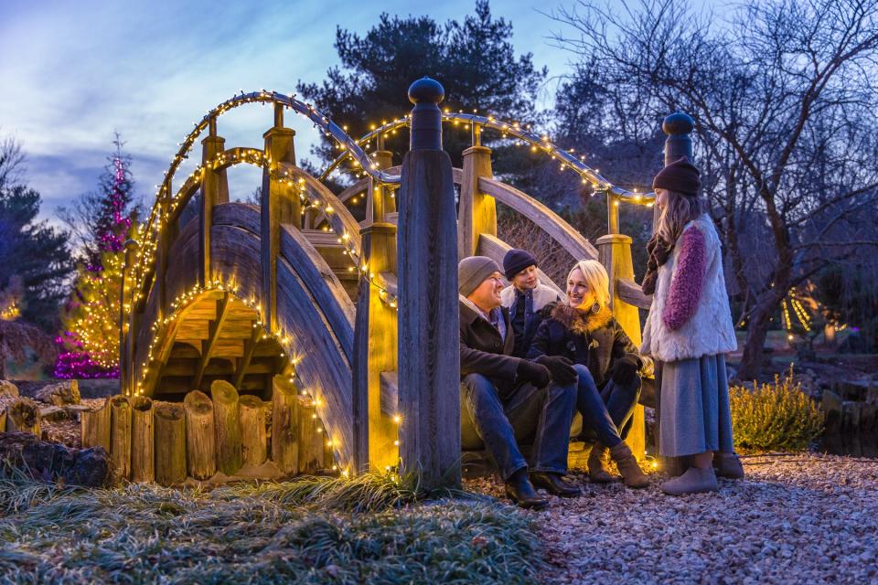 Gardens Aglow runs through the new year at the Mizomoto Japanese Stroll Garden.