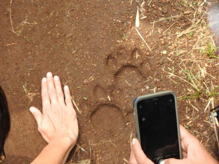 Durante el safari de verano de 2023, se registraron más de 2200 especies en todo el país