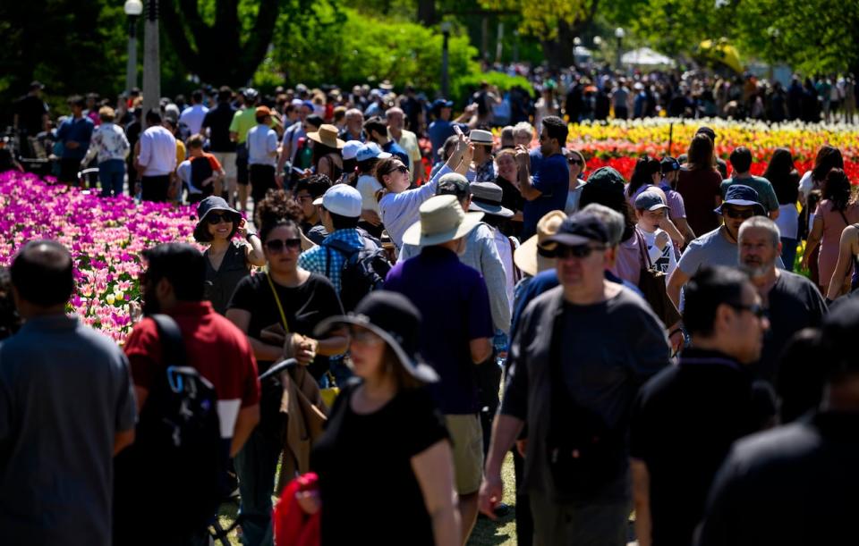 Crowds attend the Canadian Tulip Festival at Commissioners Park in Ottawa, on Saturday, May 13, 2023.