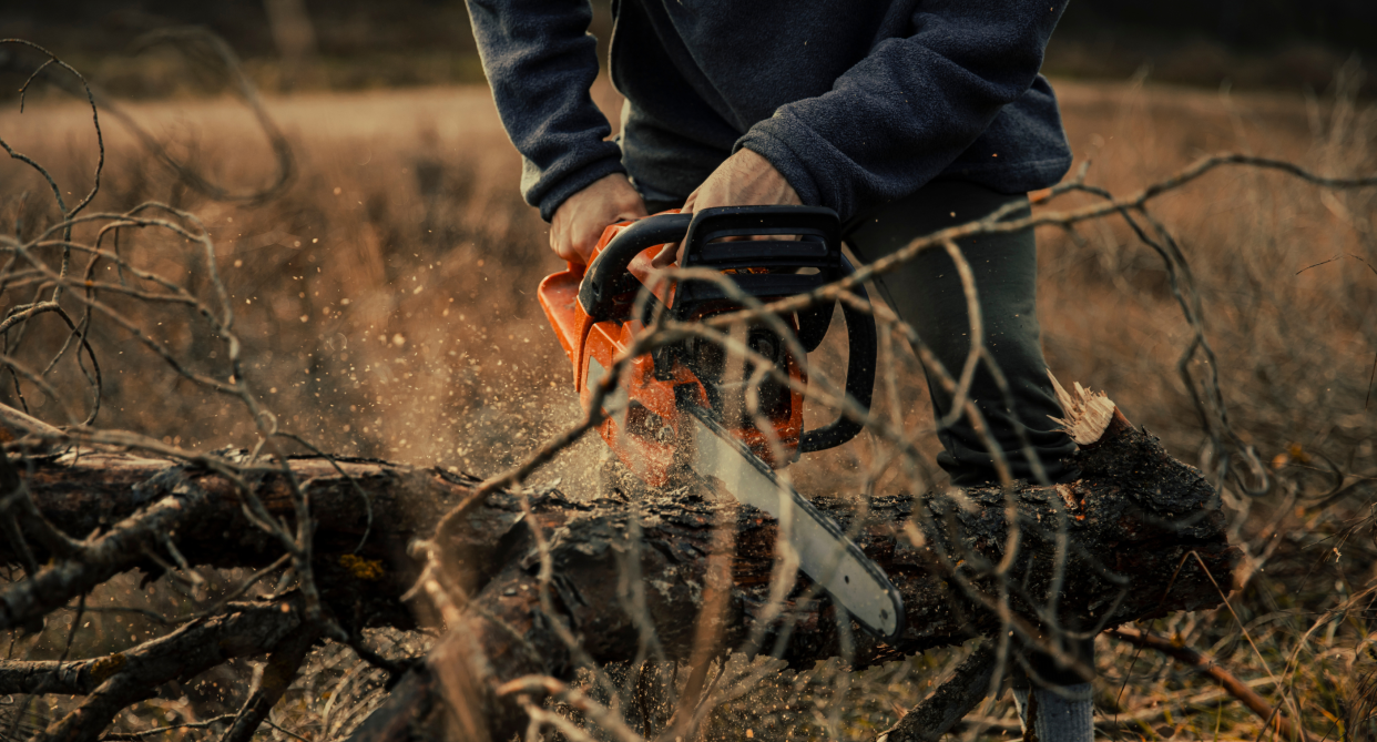 man cutting through log with chainsaw, Amazon shoppers say this six-inch mini chainsaw 