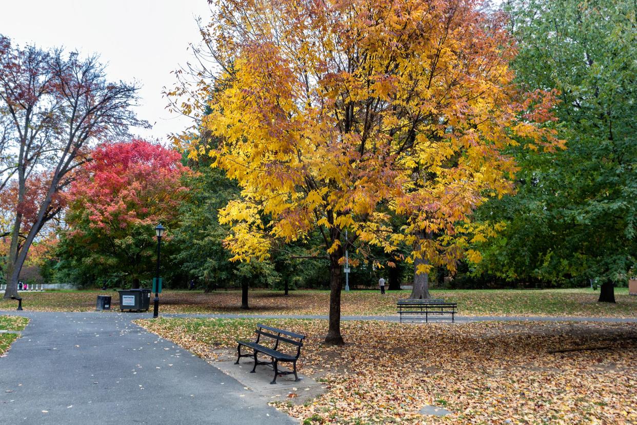 Brooklyn's Prospect Park