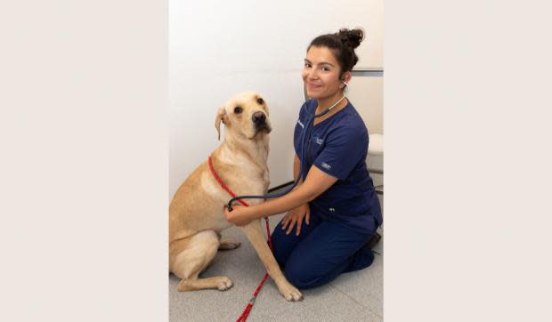 El eco del norte: Rebecca está comerciando en el condado de Durham por África occidental.  Imagen: Socios veterinarios