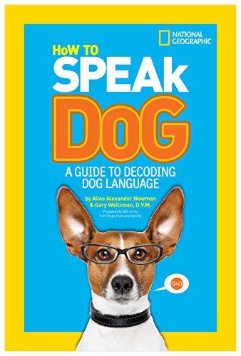 47) How to Speak Dog: A Guide to Decoding Dog Language