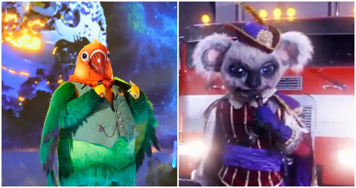 ‘The Masked Singer’ Reveals Identities of Koala and Love Bird Here Are