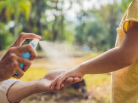 Precautions against mosquito bites include using an insect repellent with DEET, and keeping arms and legs covered. Outside, eliminate things in which water may collect, like old tires, plastic swimming pools and children's toys. Keep woodpiles dry by keeping them covered.