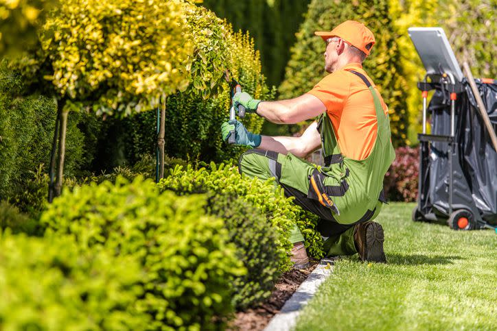 <p>More consumers and business owners increasingly want to reduce water usage and employ <a href="https://www.lendingtree.com/business/how-to-start-a-landscaping-business/" rel="nofollow noopener" target="_blank" data-ylk="slk:landscaping;elm:context_link;itc:0;sec:content-canvas" class="link rapid-noclick-resp">landscaping</a> techniques that benefit the environment, such as hardscaping or xeriscaping:</p><ul><li>Hardscaping: Add nonliving elements, such as bricks, rocks, stone and wood; could also include man-made additions, such as patio covers, retention ponds and decks</li><li>Xeriscaping: Can include hardscaping, but may also use drought-tolerant plants; easier to maintain than a traditional lawn or garden and significantly reduces water usage</li></ul><p>These practices are low maintenance, better for the local environment and typically look good year-round.</p><span class="copyright"> welcomia/istockphoto </span>