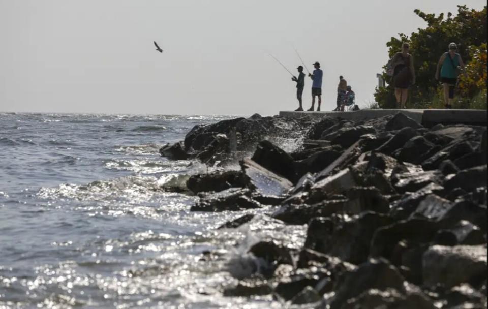 Red Tide Hits Pinellas County