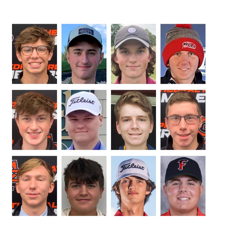 The Erie Times-News District 10 Boys Golf All-Stars include, top row, from left: Cathedral Prep's Breckin Taylor, Union City's Josh James, Erie's 
Kyle Westfall and Slippery Rock's Jacob Wolak; second row, from left: Cathedral Prep's Trey Thompson, Warren's Owen Blum, Fort LeBoeuf's Nathan Feltmeyer and Cathedral Prep's Ryan Eastbourn; third row, from left: Cathedral Prep's Matt Costa, Warren's Braddock Damore, West Middlesex's Caden Bender and Fairview's Will Fessler.