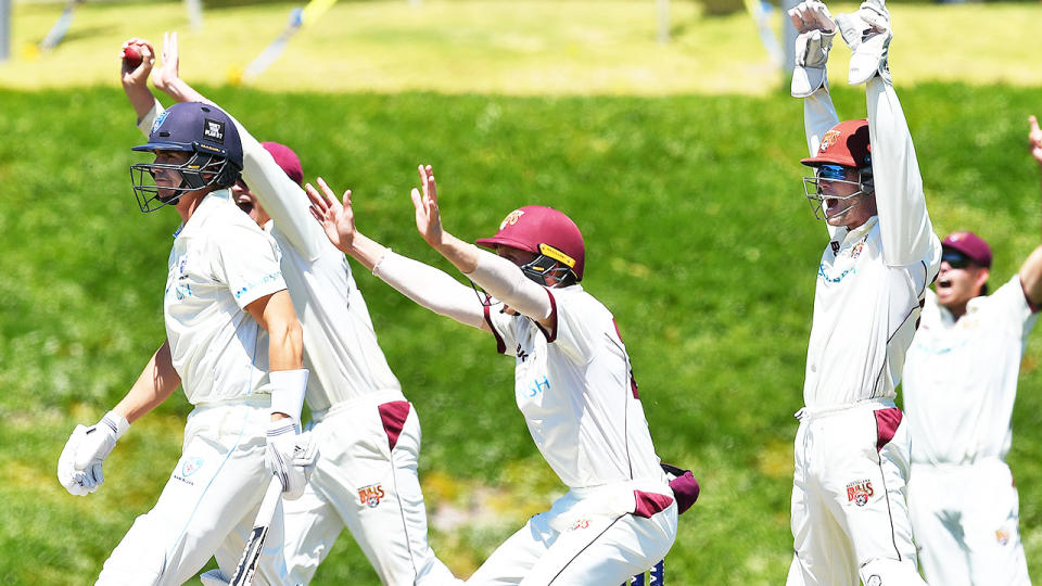 Queensland jump up and appeal for a catch off Sean Abbott during day four of the Sheffield Shield match.