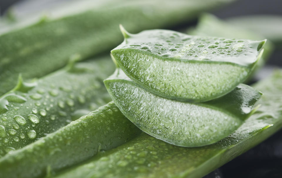 Auch Aloe-Vera-Gel tut der Haut gut (Symbolbild: Getty Images)