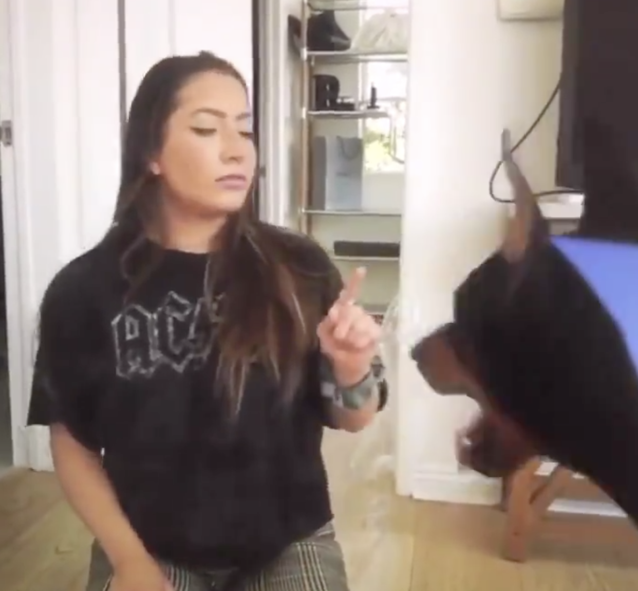 Brooke Houts has received backlash over a video that shows her getting rough with her dog. (Photo: YouTube)