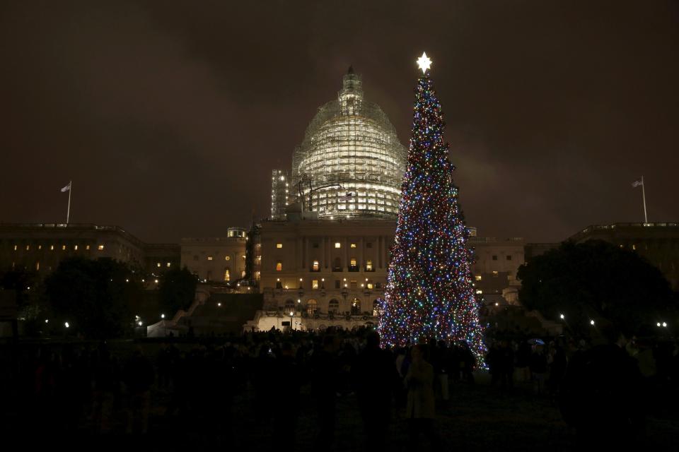 Christmas trees around the world