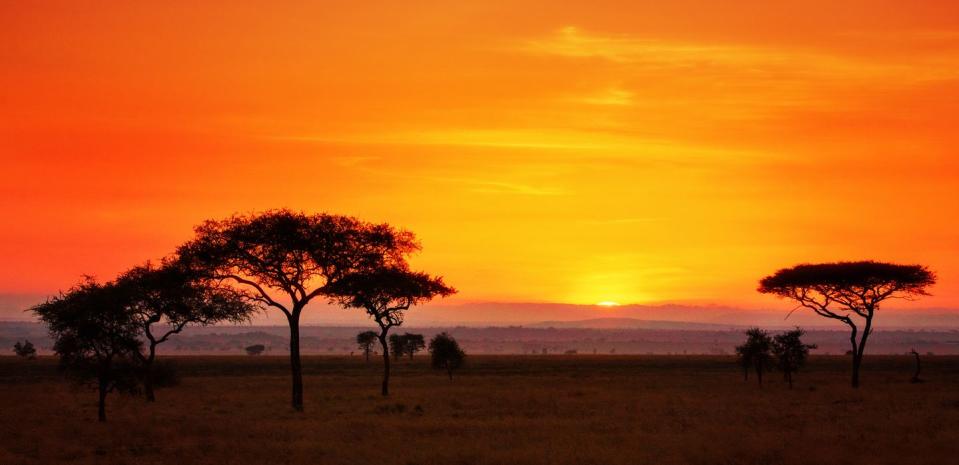 Serengeti National Park — Africa