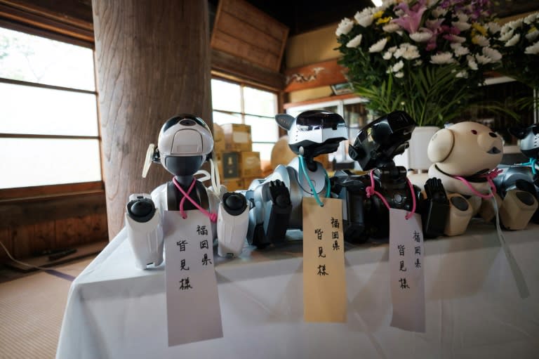 The defunct robodogs serve as the equivalent of organ donors for defective robots, but before they are put to use, the company honours them with a traditional send-off