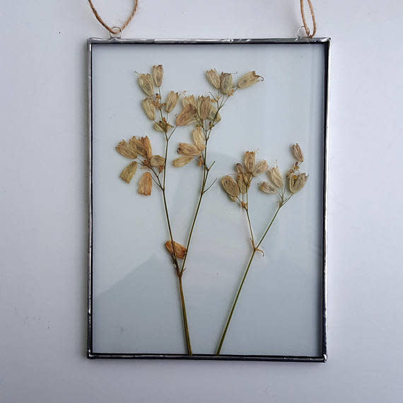 Get it from <a href="https://www.etsy.com/listing/582491339/pressed-flower-frame-pressed-plants?ga_order=most_relevant&amp;ga_search_type=all&amp;ga_view_type=gallery&amp;ga_search_query=herbariums&amp;ref=sc_gallery-1-11&amp;plkey=3b556b22b74dcf1fc551cba7066fc2acf8c2442d:582491339" target="_blank">Julivani on Etsy, $32</a>.