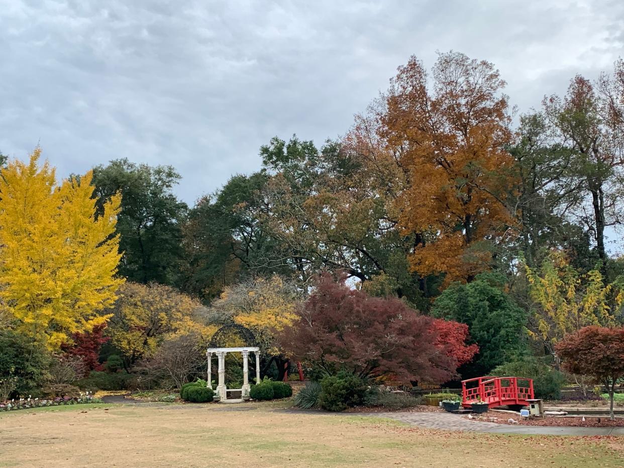 Trees can offer amazing colors to landscapes in the fall.