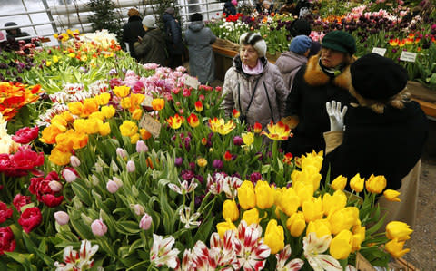 Moscow Flower Show - Credit: Alexander Shcherbak/Tass