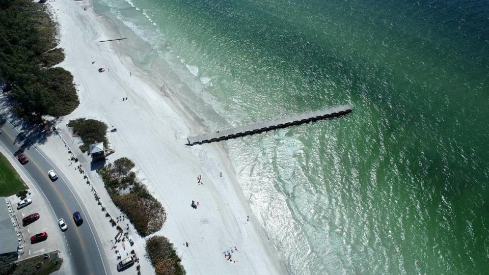 A red tide bloom that has lingered since fall has worsened in recent weeks, bringing more dead fish, murky waters and foul air to beaches on Anna Maria Island’s Bradenton Beach.