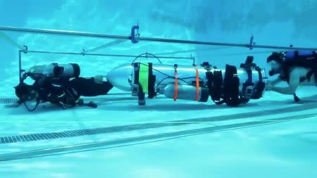 A device by Elon Musk's SpaceX and The Boring Company, designed to help rescue the remaining members of a soccer team trapped in a flooded cave in Chiang Rai, Thailand, is being tested in a swimming pool in Los Angeles, California, U.S., in this still image taken from an undated video obtained from social media. MANDATORY CREDIT. Twitter @elonmusk/via REUTERS