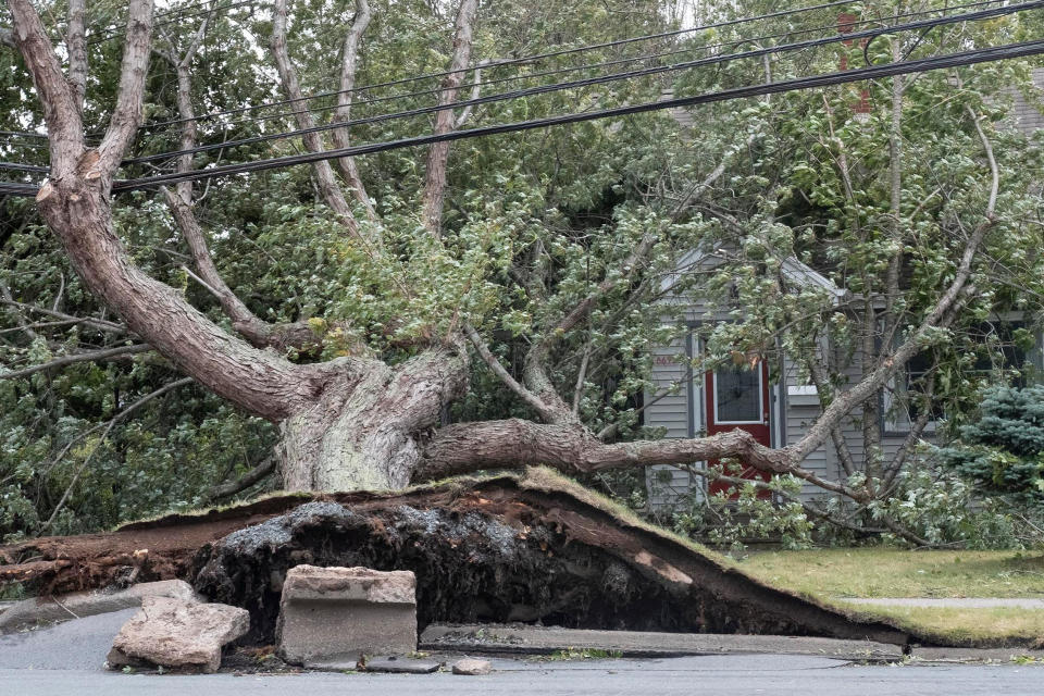 <p>A fallen tree lies on a house following the passing of Hurricane Fiona, later downgraded to a post-tropical storm, in Halifax on Sept. 24, 2022. (REUTERS/Ted Pritchard)</p> 
