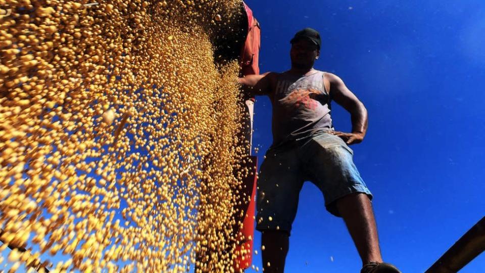 Homem trabalhando na colheita de soja em Salto do Jacuí, Rio Grande do Sul