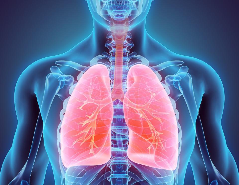 3d illustration of lungs, medical concept