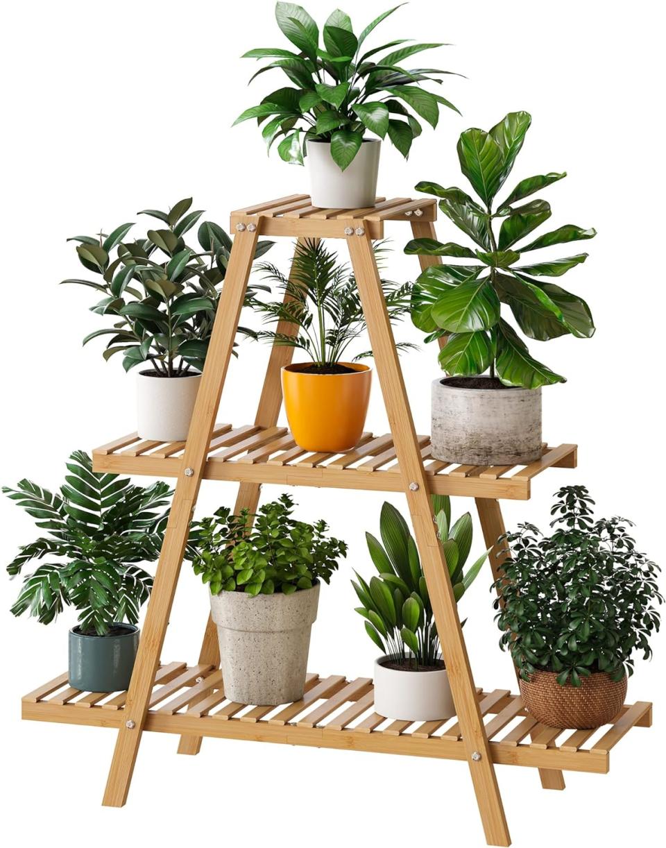 Aldi's Wooden Ladder Shelf Displays All Your Favorite Plants