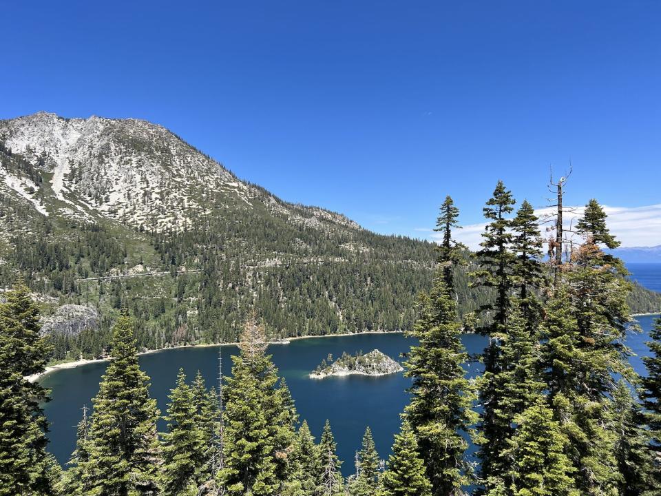 Pine trees tower over a lake bordered by a snow-capped mountain.