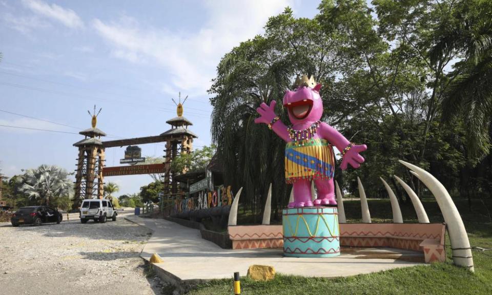 A pink statue of a hippo greets tourists at Hacienda Napoles Park in Puerto Triunfo, Colombia. Hacienda Napoles was once a private zoo with illegally imported animals that belonged to drug trafficker Pablo Escobar.