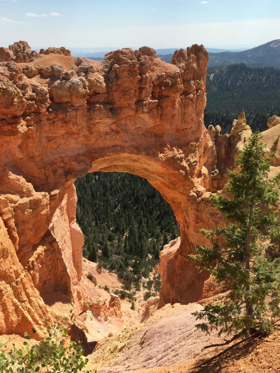 The   Natural Bridge in Bryce Canyon.