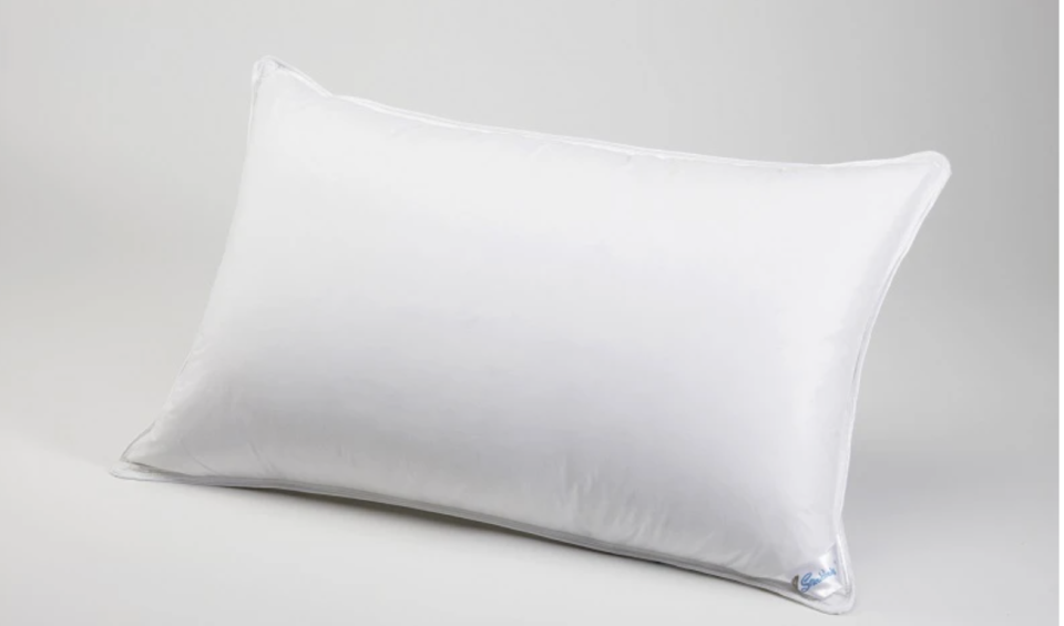 PHOTO: Robinsons. Snowdown Premier Super Soft 100% Down Pillow. 