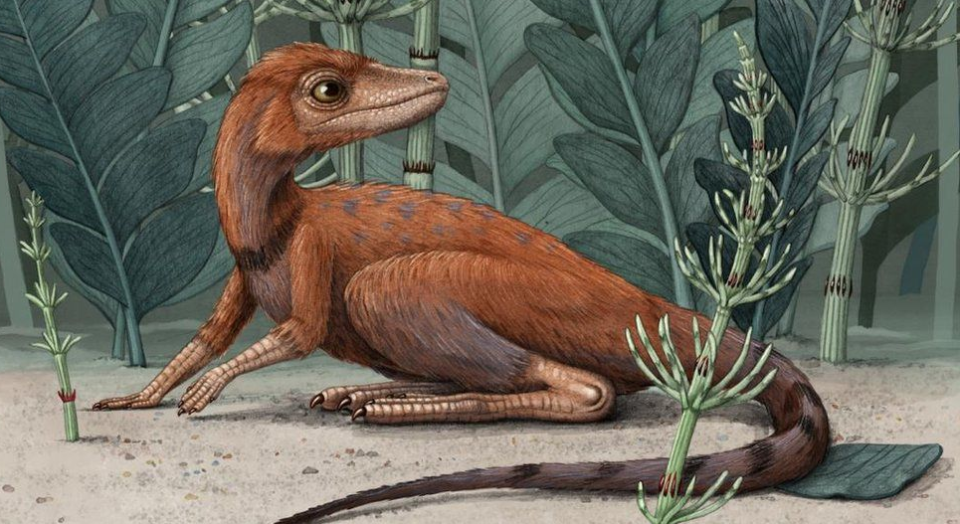 The tiny dinosaur ancestor is thought to have eaten insects (Alex Boersma) 