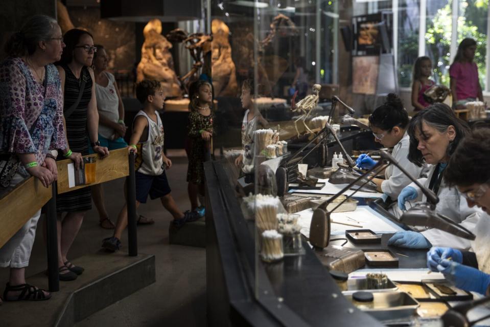 A group of adults and children watch a demonstration at the Fossil Lab