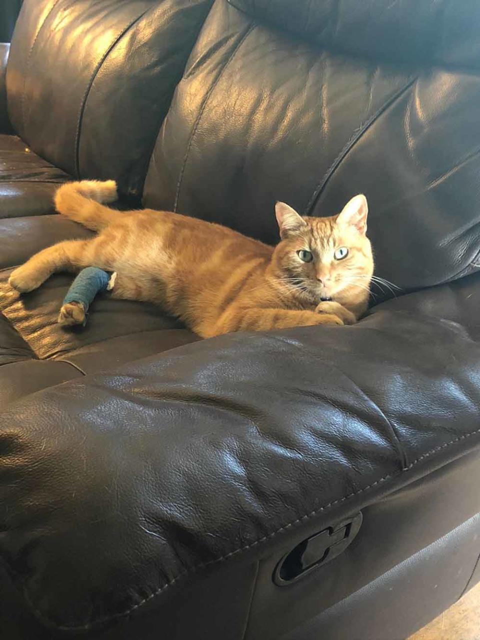 Weasley recovering after his injury in 2018. PA REAL LIFE COLLECT