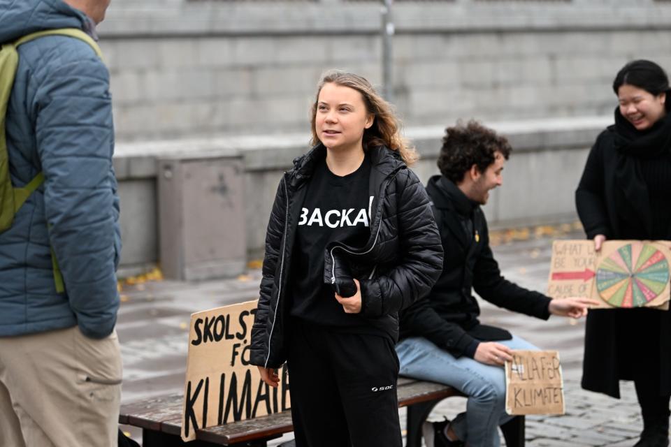 瑞典少女童貝里每週五固定罷課，到瑞典國會大樓外參加氣候變遷示威，圖為她2011年11月11日示威。美聯社